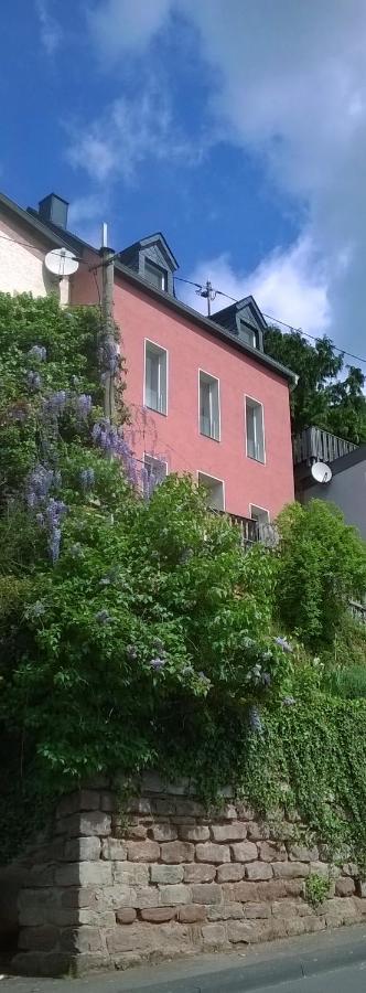 Vila Logenplatz Ueber Trevír Exteriér fotografie